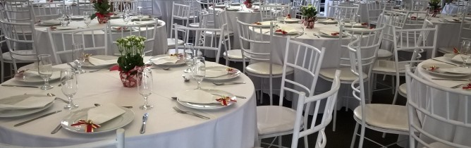 Festa de confraternização 2025